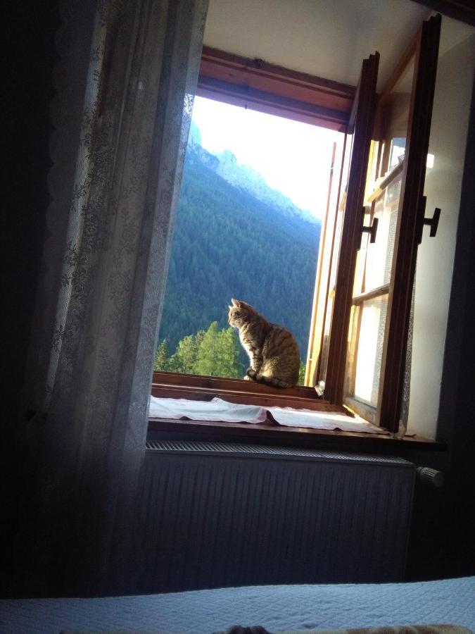 Achillea Bed & Breakfast Vigo di Fassa Dış mekan fotoğraf