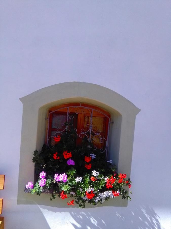 Achillea Bed & Breakfast Vigo di Fassa Dış mekan fotoğraf