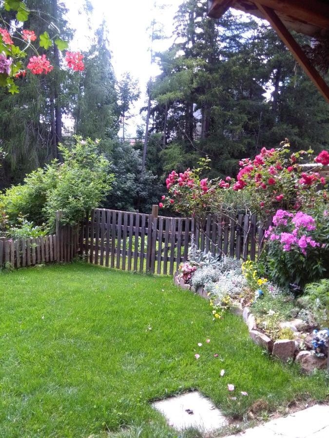 Achillea Bed & Breakfast Vigo di Fassa Dış mekan fotoğraf